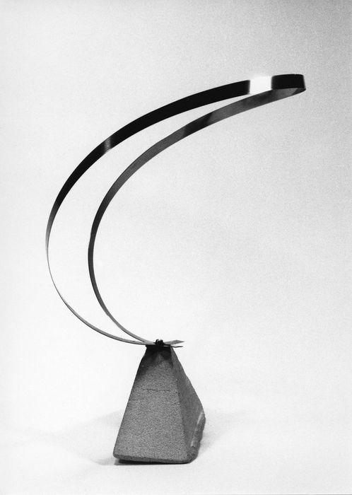 Cercle de vie, 1988 - 1989